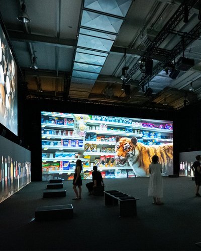 Exclusive Presale Access to Rising Festival Tickets – 48 Hours Before 