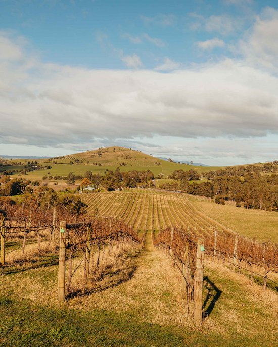 <p>
	Save 20% on Tickets to Yarra Valley&rsquo;s Shortest Lunch
</p>
