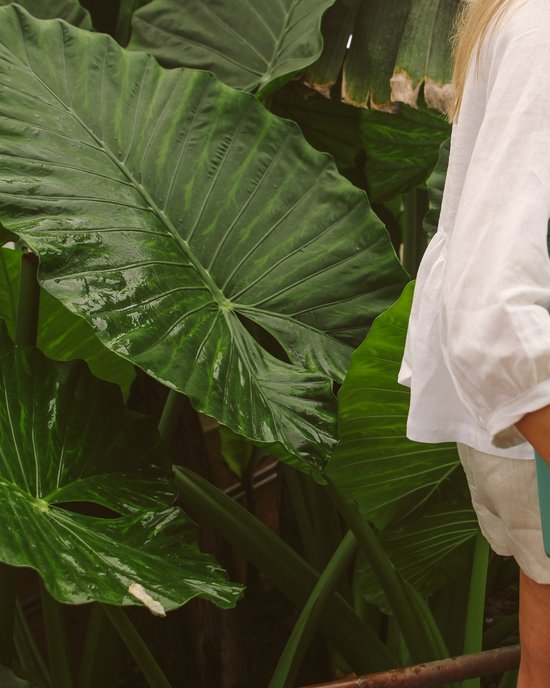 <p>
	Win a Fieldbar Cooler Box and Keep Your Champers Chilled in Style
</p>
