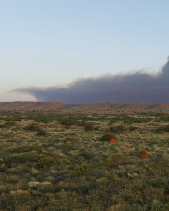 <p>
	Attend a Private Film Screening Presented by Sydney Jewellery Label Sarah &amp; Sebastian
</p>
