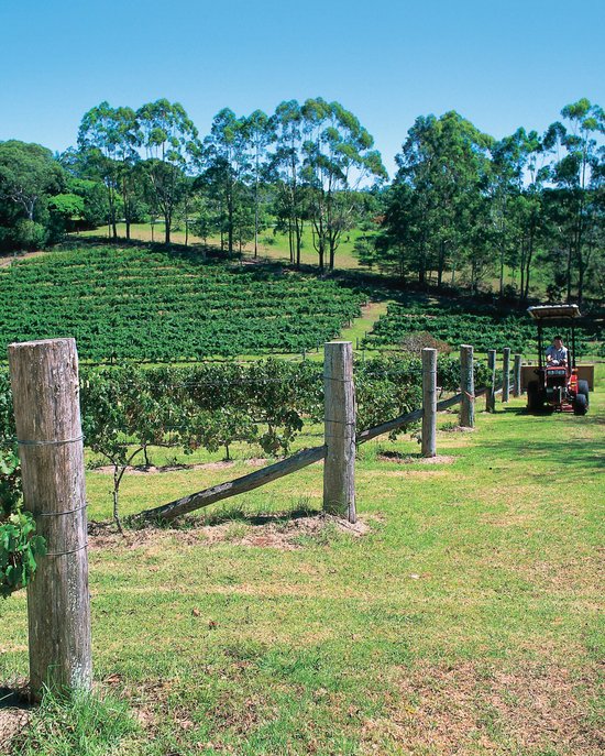<p>
	Win a Grape Escape in the Grampians
</p>
