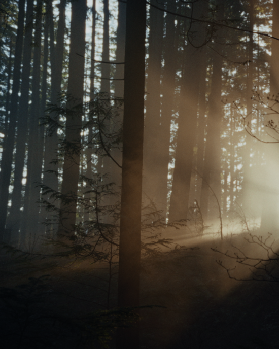 <p>
	Score a Free Double Pass to Keeper, a New Movie From the Longlegs Director
</p>
