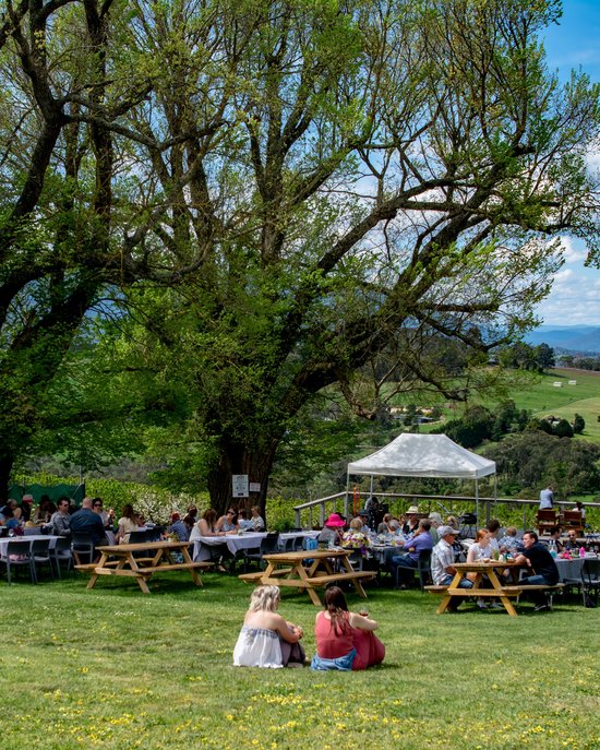 <p>
	Score Tickets to a Yarra Valley Wine Festival With Unlimited Tastings
</p>
