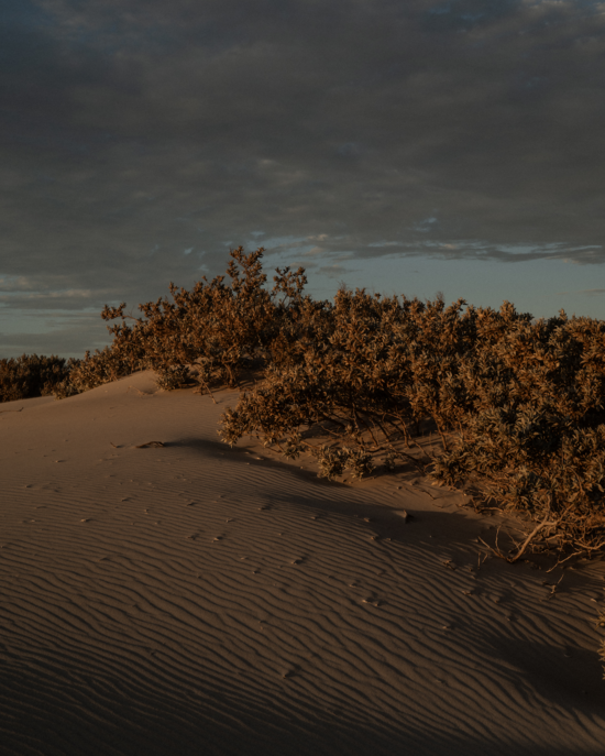 <p>
	Attend a Private Film Screening Presented by Sydney Jewellery Label Sarah &amp; Sebastian
</p>
